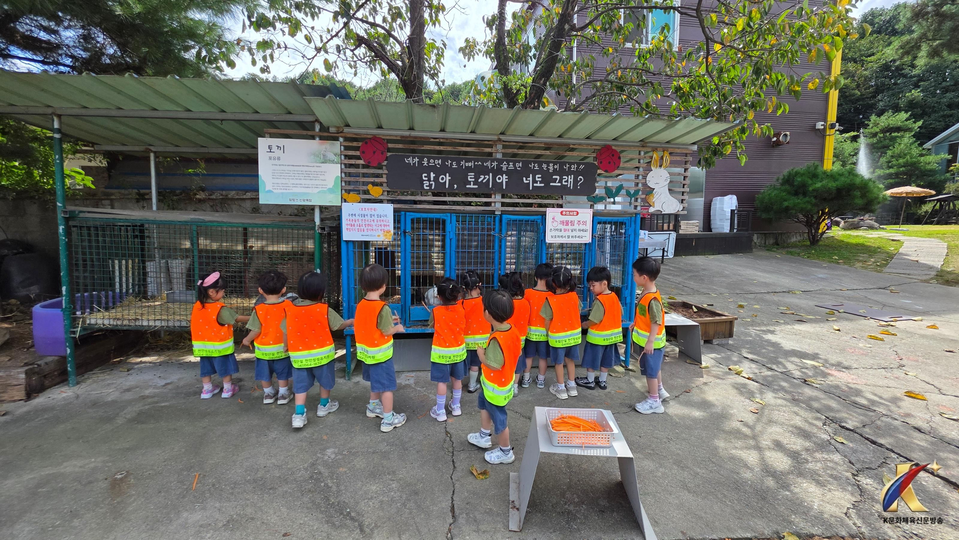 본문사진