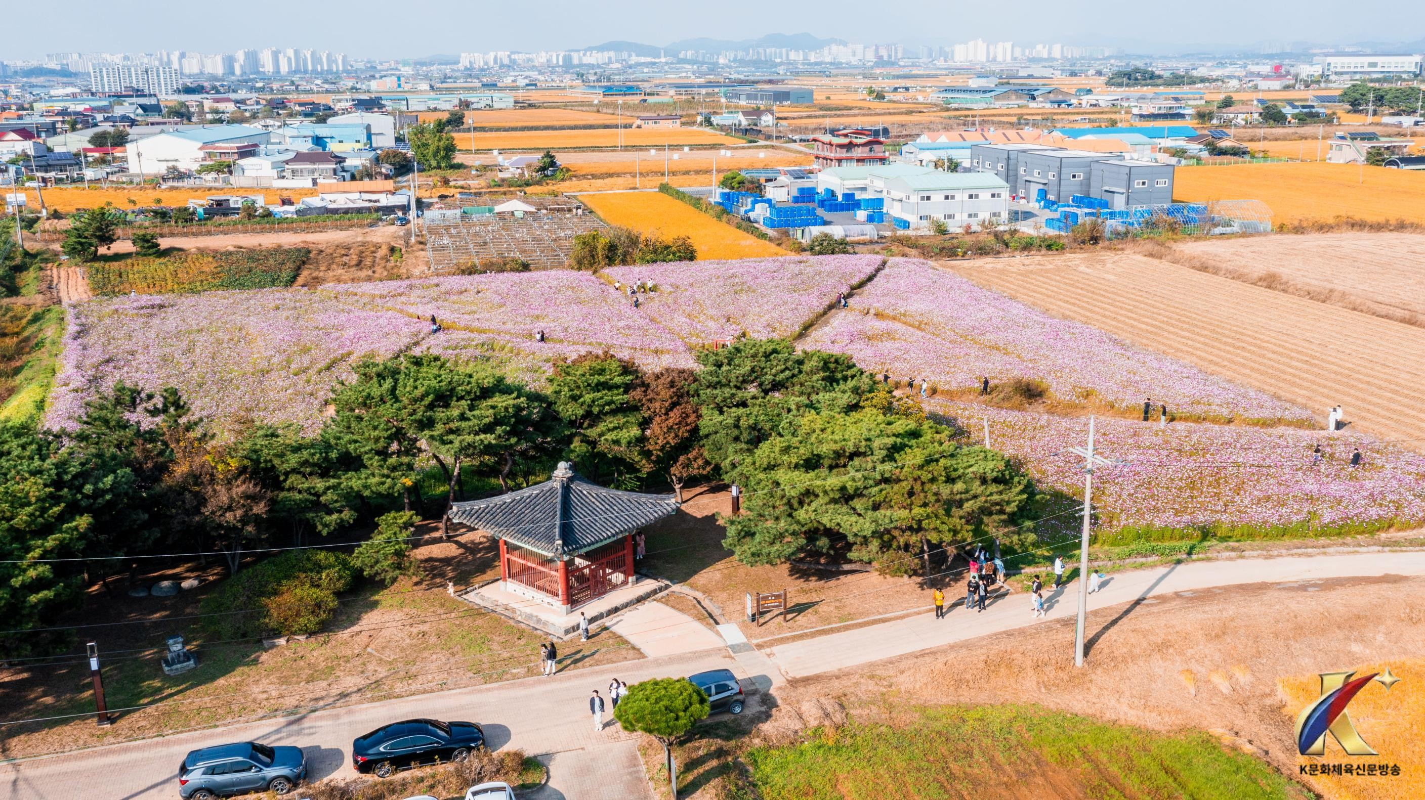 본문사진
