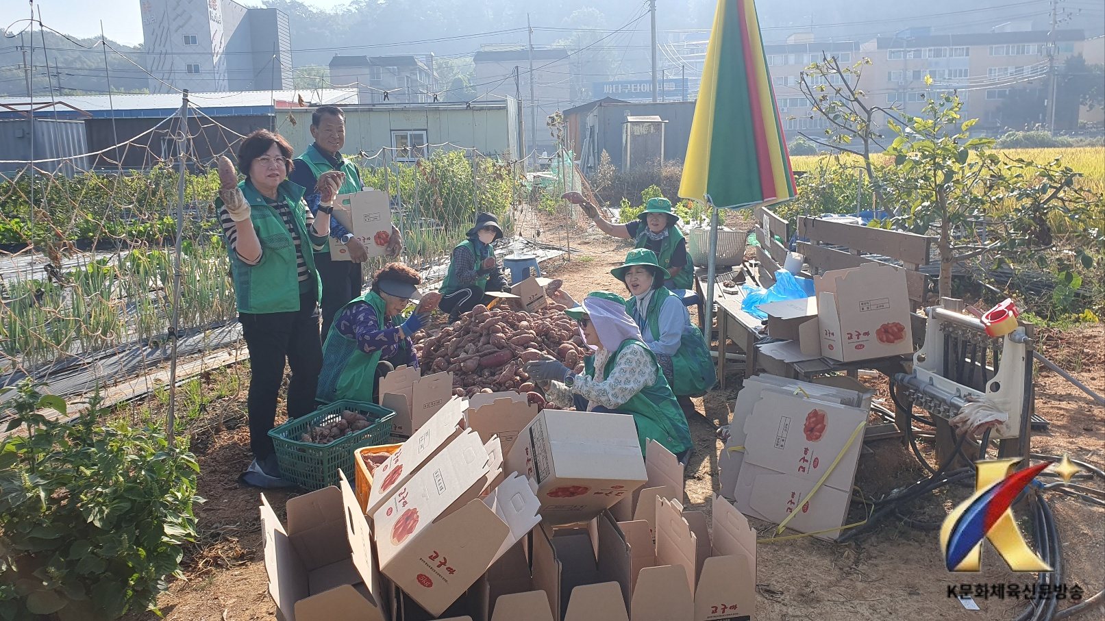 본문사진